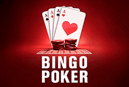 img-Bingo Poker