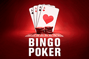 img-Bingo Poker